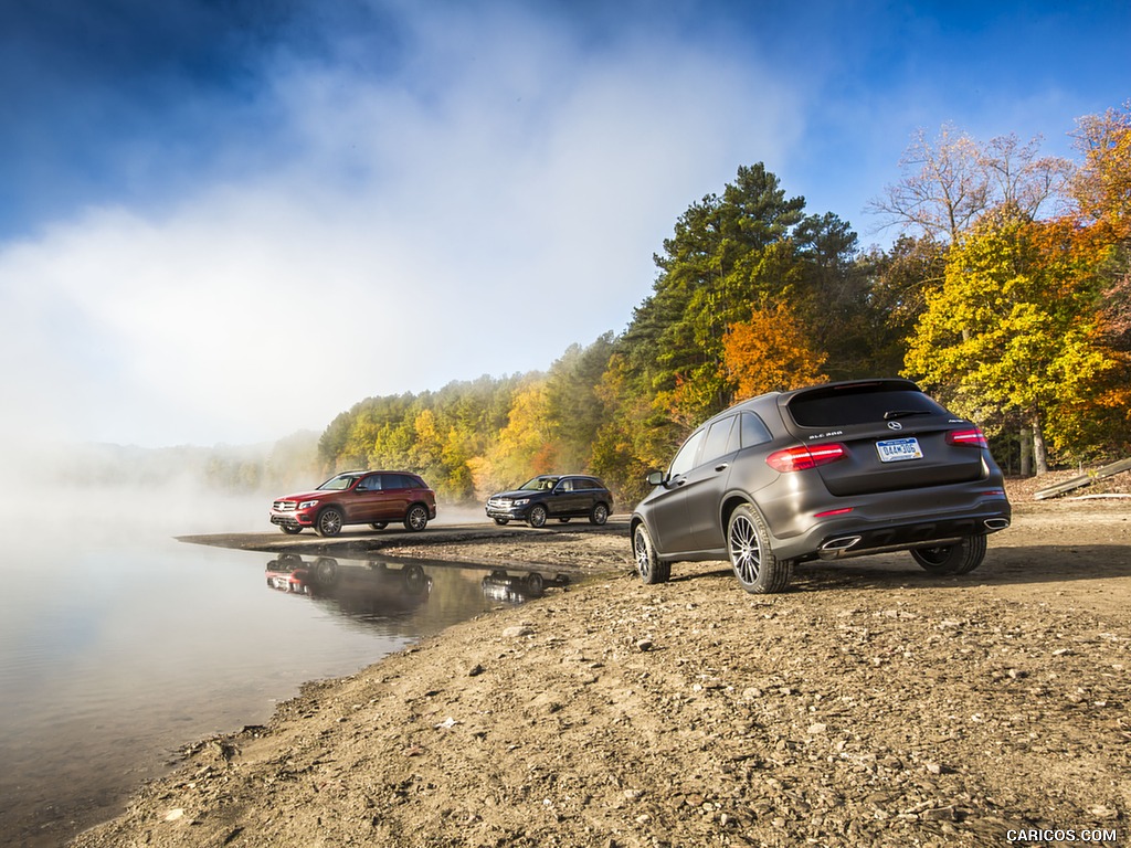 2016 Mercedes-Benz GLC GLC300 4MATIC (US-Spec) - Rear