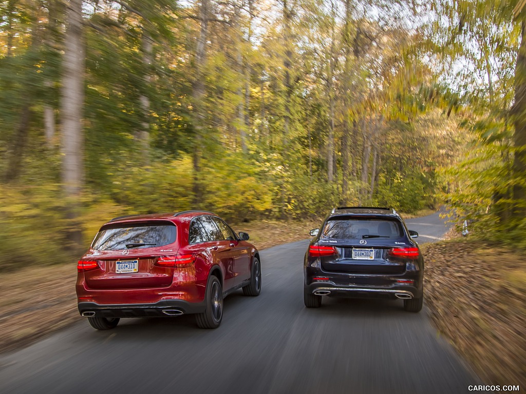 2016 Mercedes-Benz GLC GLC300 4MATIC (US-Spec) - Rear