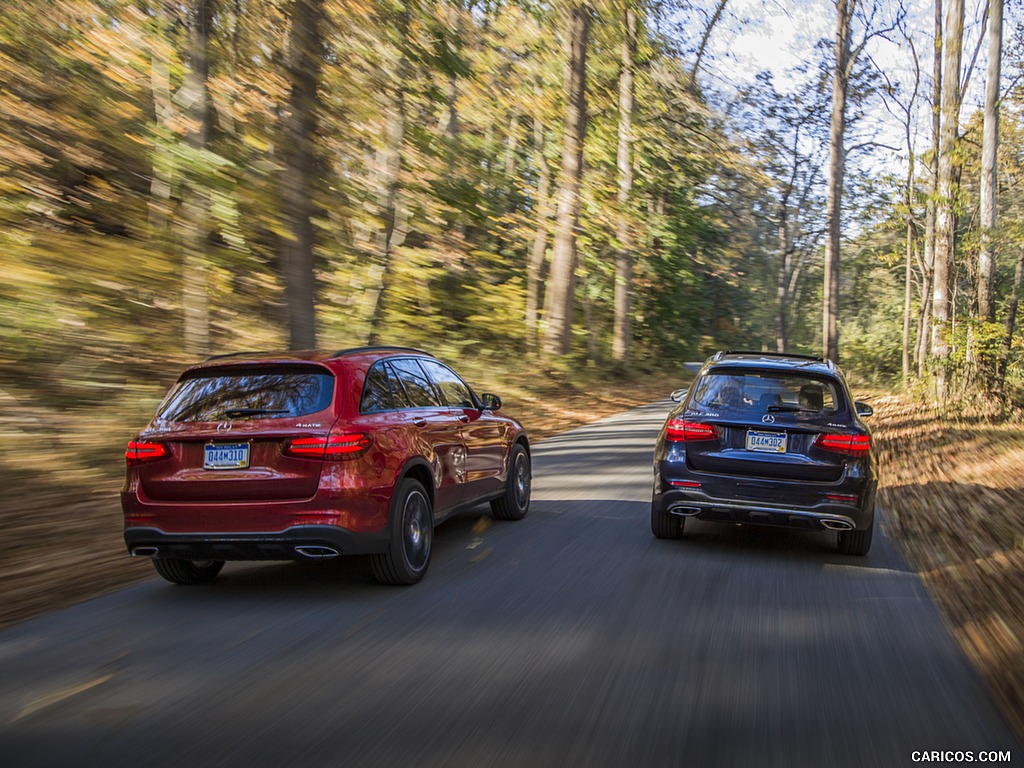 2016 Mercedes-Benz GLC GLC300 4MATIC (US-Spec) - Rear