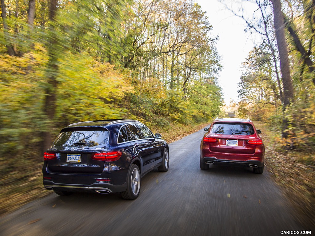 2016 Mercedes-Benz GLC GLC300 4MATIC (US-Spec) - Rear