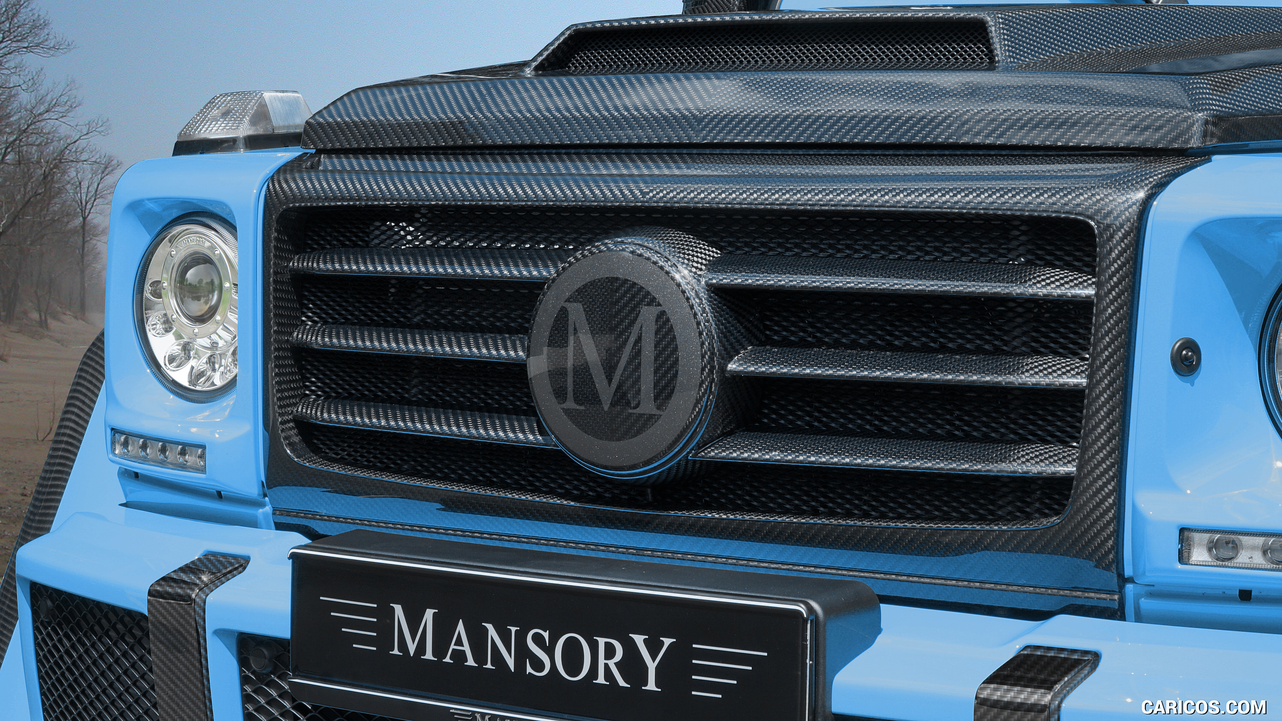 2017 MANSORY Mercedes-Benz G500 4x4² (Color: Sky Blue) - Grille, #3 of 8