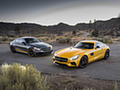 2017 Mercedes-AMG C63 S Coupe Edition One (US-Spec) and 2017 Mercedes-AMG GT S Coupe