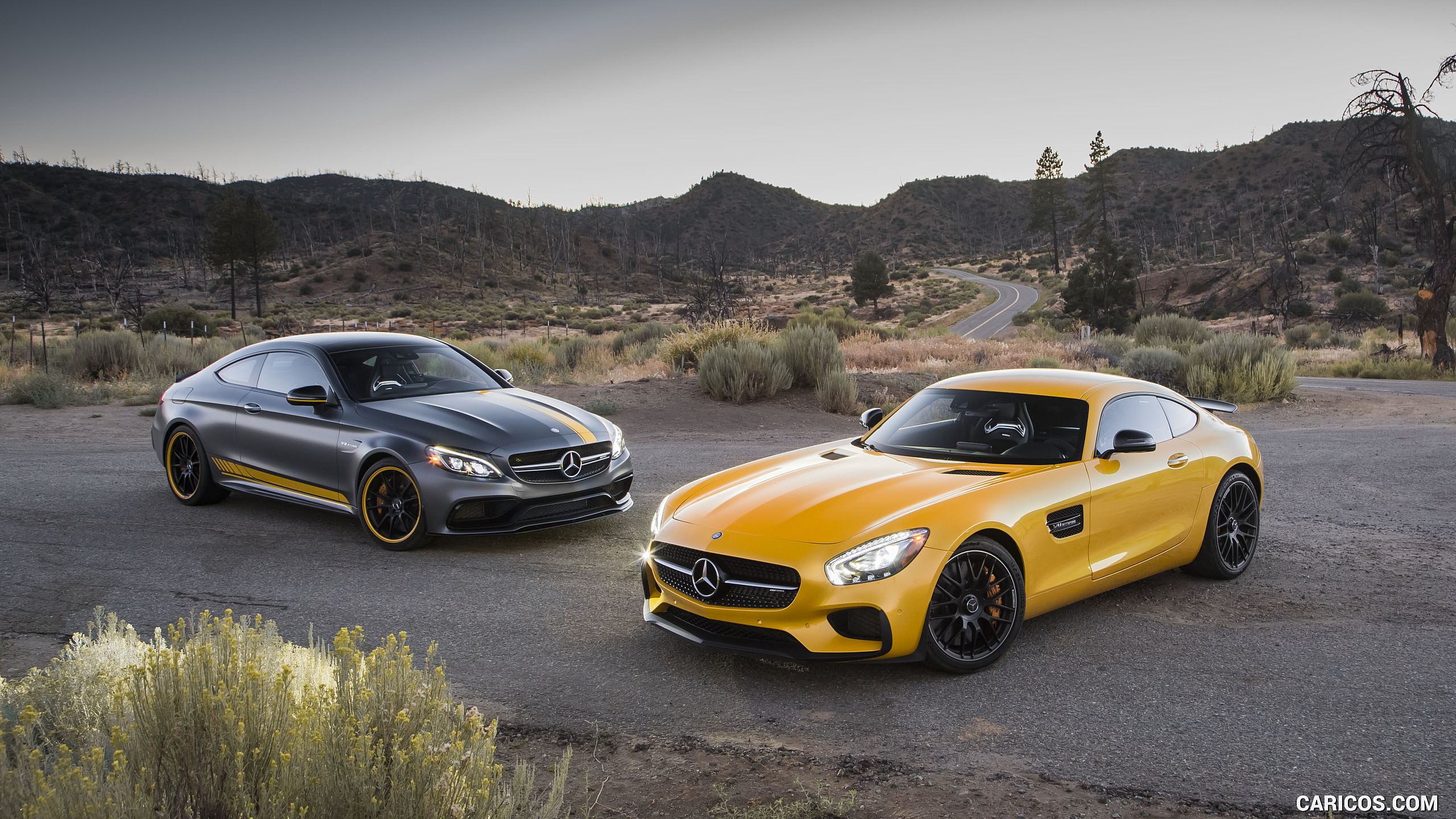 2017 Mercedes-AMG C63 S Coupe Edition One (US-Spec) and 2017 Mercedes-AMG GT S Coupe, #86 of 86