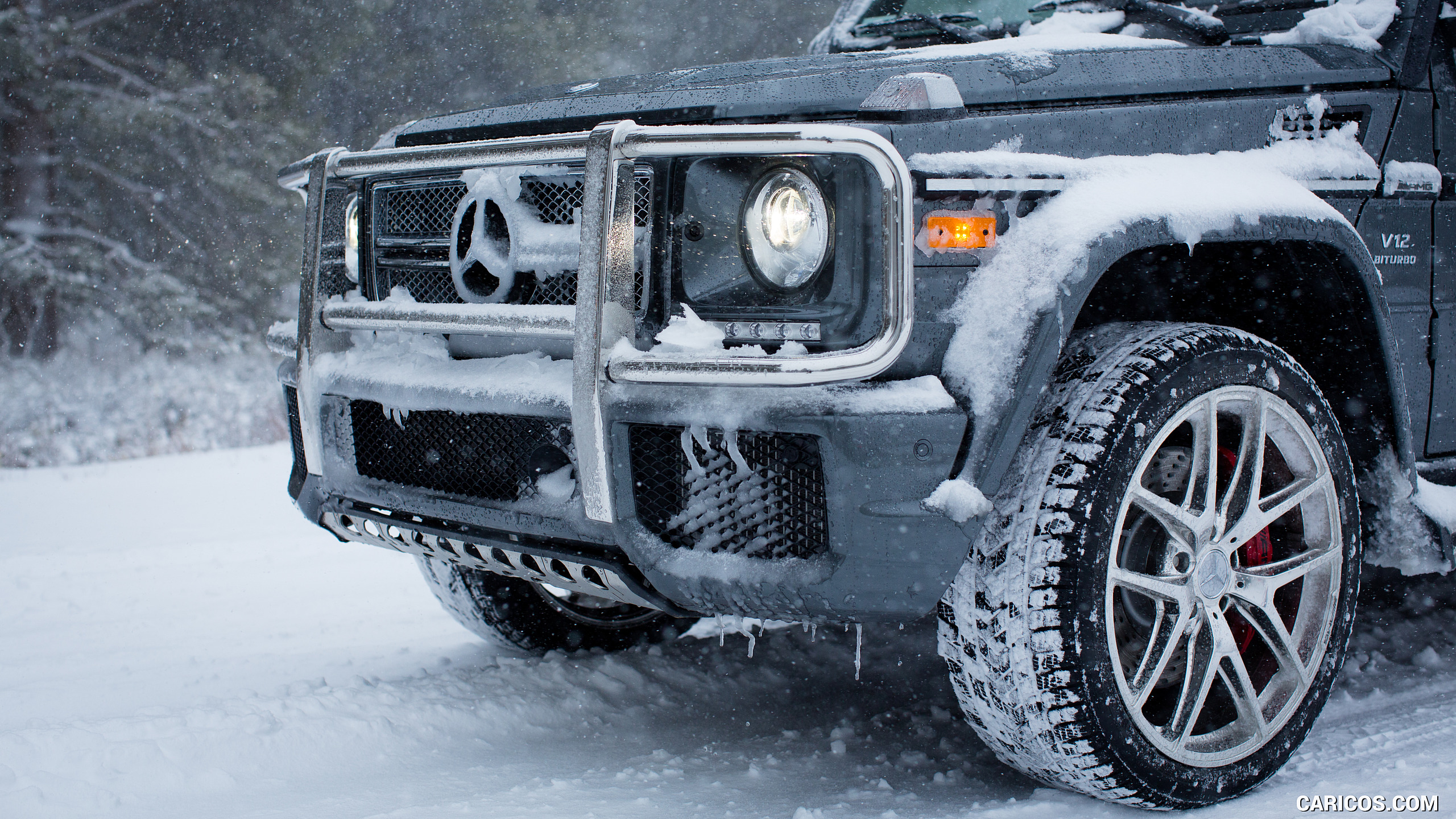 2017 Mercedes-AMG G65 AMG (US-Spec) in snow - Detail, #37 of 45