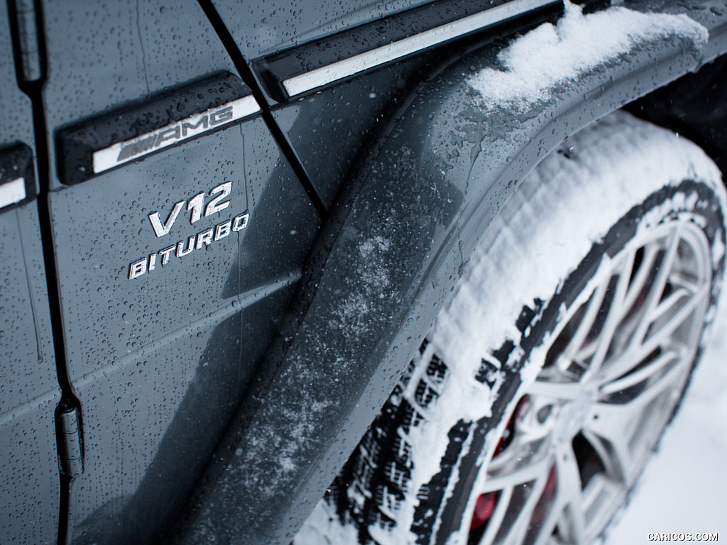 2017 Mercedes-AMG G65 AMG (US-Spec) - Detail