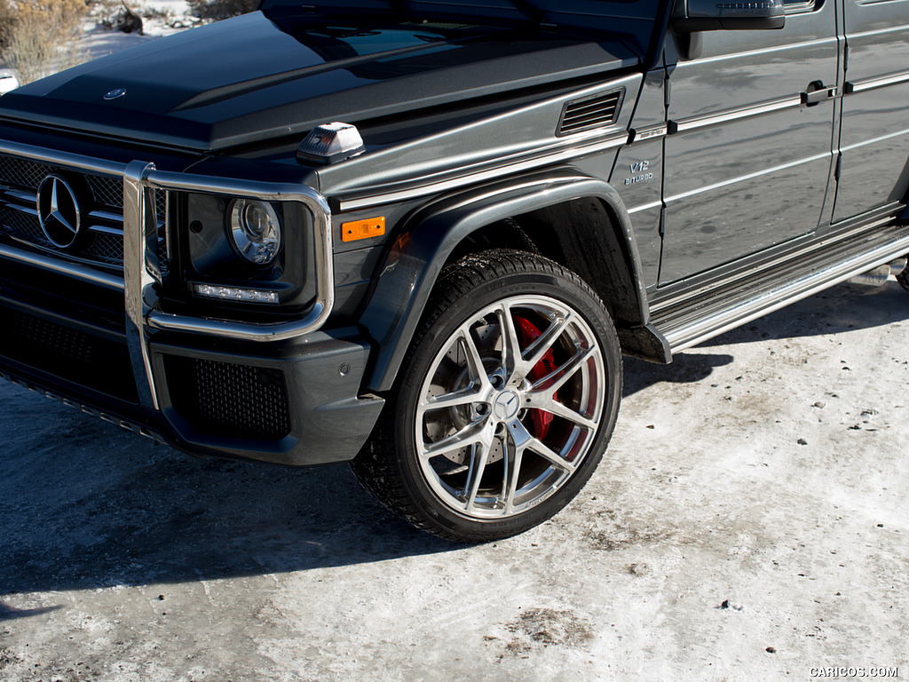 2017 Mercedes-AMG G65 AMG (US-Spec) - Detail