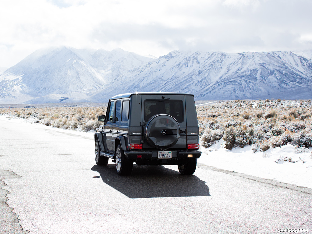 2017 Mercedes-AMG G65 AMG (US-Spec) - Rear