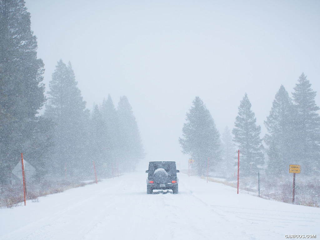 2017 Mercedes-AMG G65 AMG (US-Spec) in snow - Rear