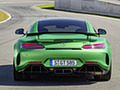 2017 Mercedes-AMG GT R at the Nurburgring (Color: Green Hell Magno) - Rear