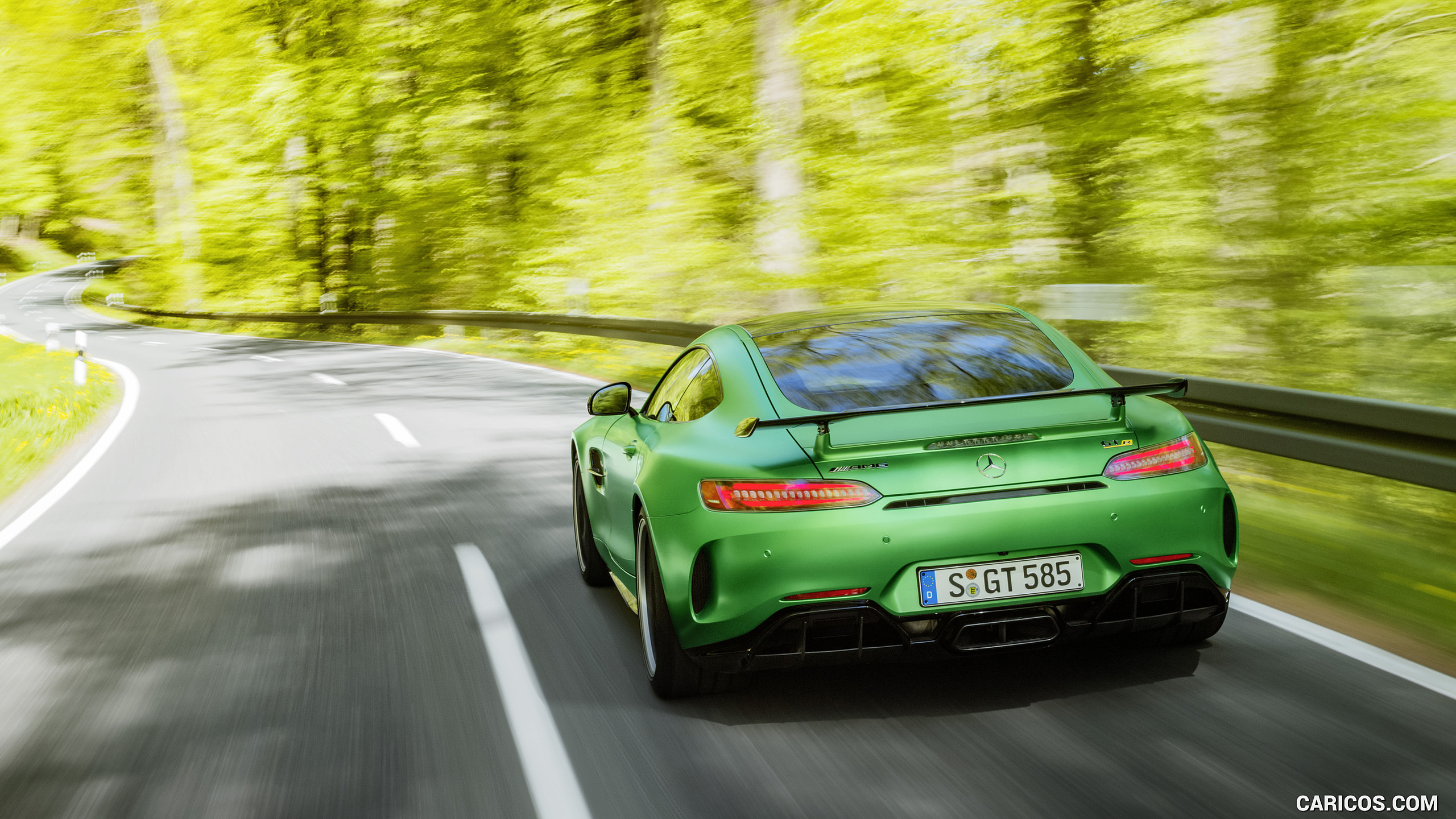 2017 Mercedes-AMG GT R at the Nurburgring (Color: Green Hell Magno) - Rear, #51 of 182