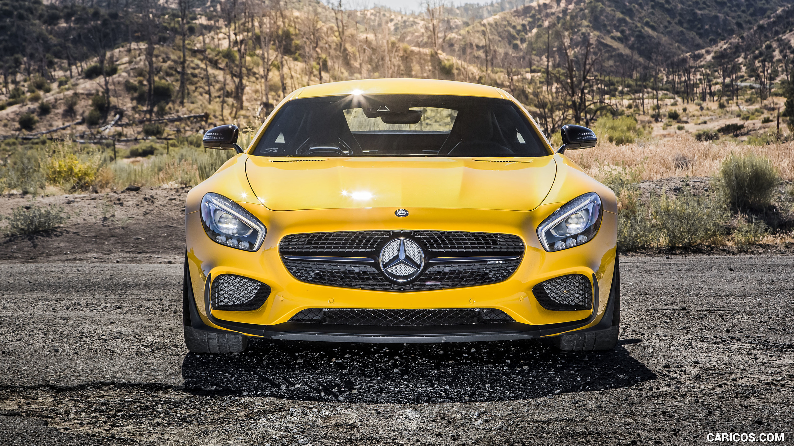 2017 Mercedes-AMG GT S (US-Spec) - Front, #29 of 55