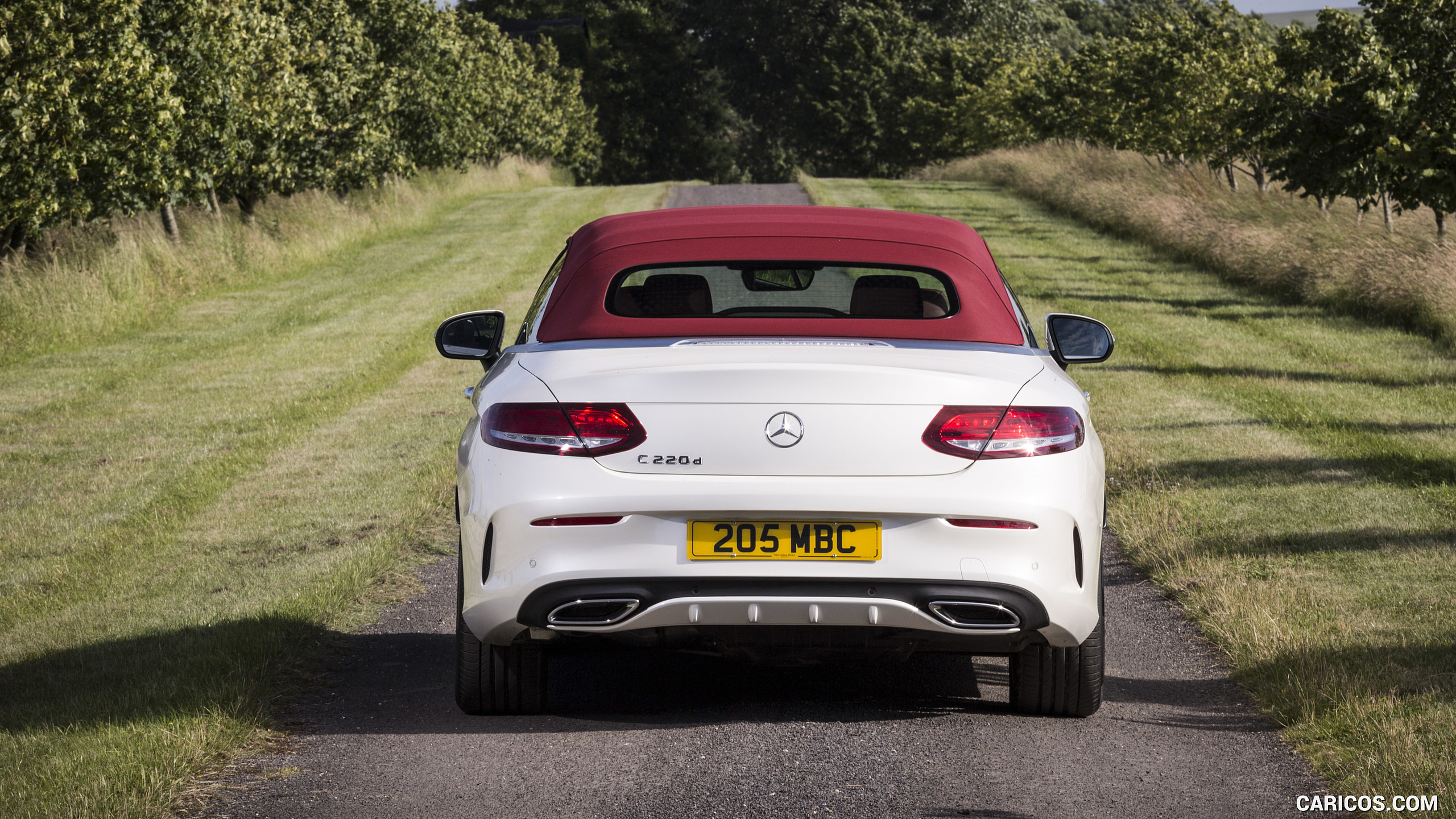 2017 Mercedes-Benz C-Class C220 d Cabriolet (UK-Spec, Diesel) - Top ...