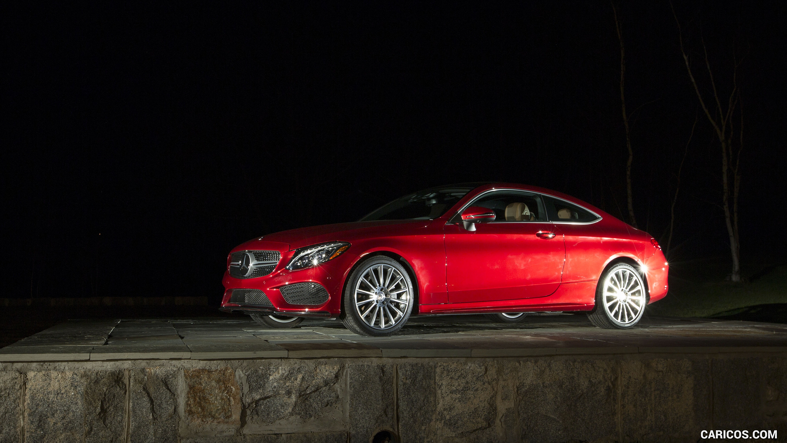 2017 Mercedes-Benz C-Class C300 Coupe 4MATIC (US-Spec) - Side, #193 of 210