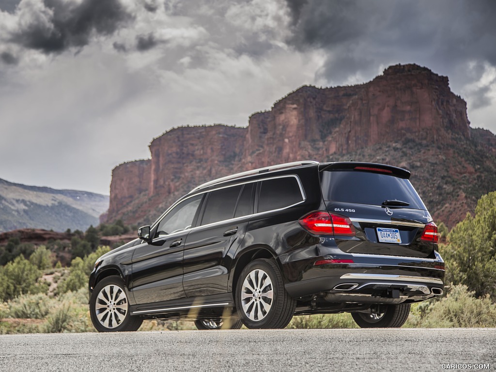 2017 Mercedes-Benz GLS 450 (US-Spec) - Rear