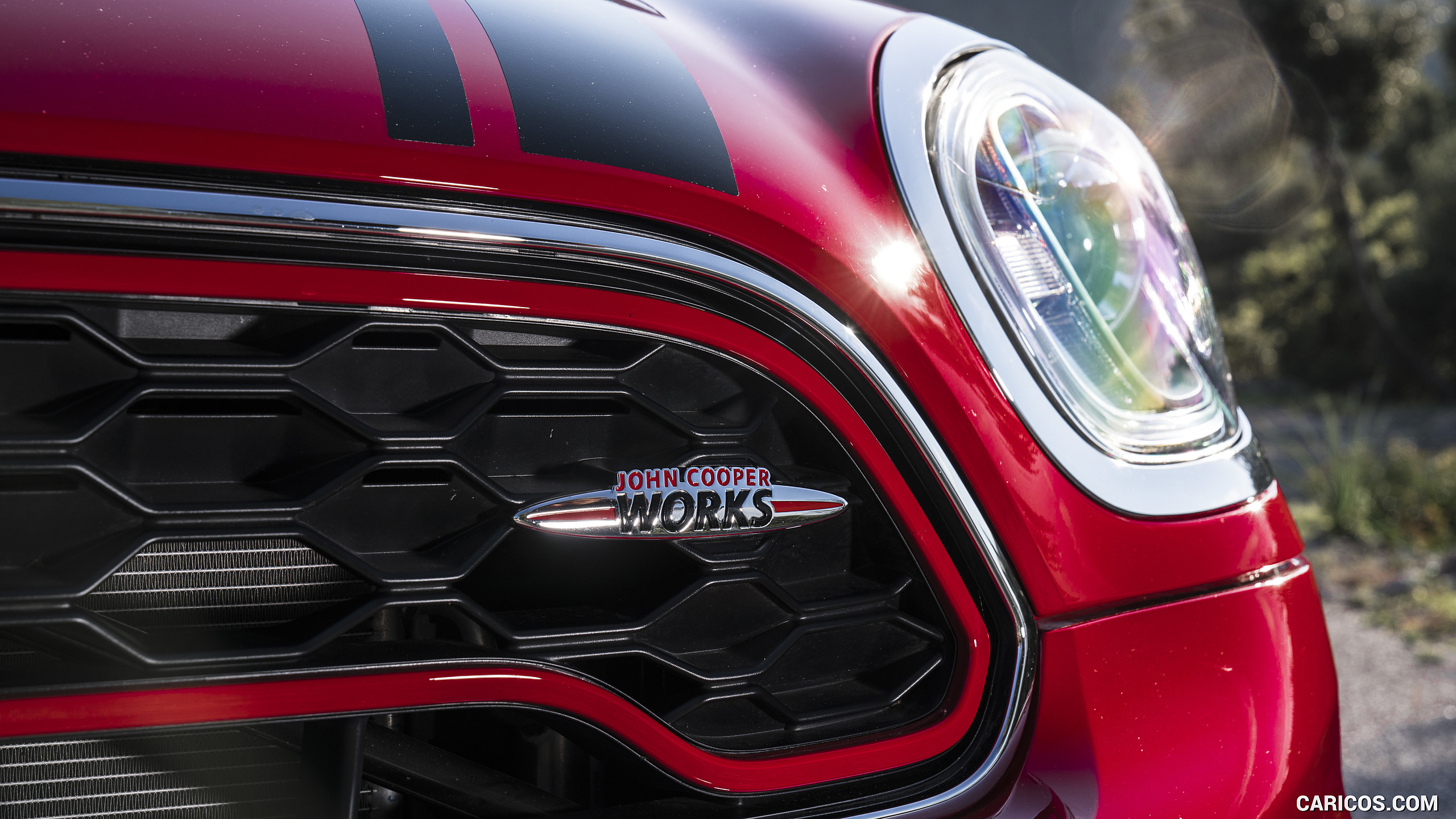 2018 MINI John Cooper Works Countryman ALL4 - Grille, #216 of 227