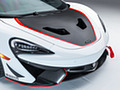 2018 McLaren 570S GT4 MSO X No. 8 White Red And Blue Accents - Detail