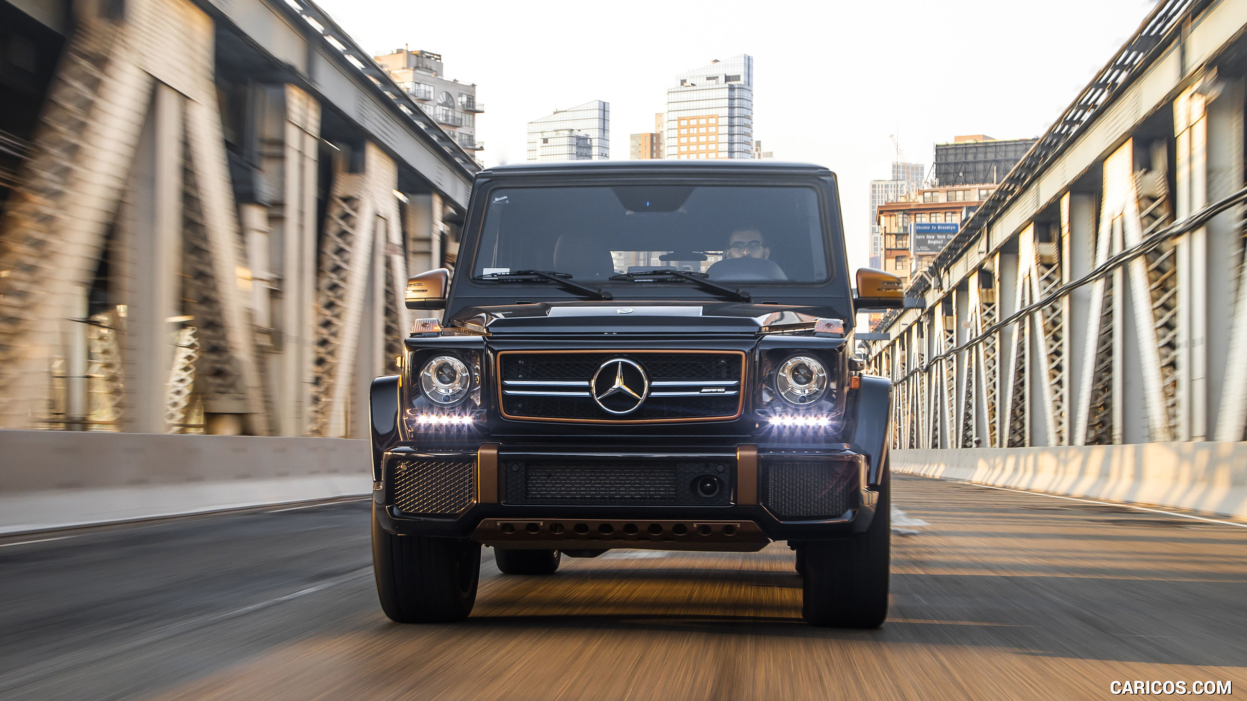 2018 Mercedes-AMG G65 Final Edition (US-Spec) - Front, #20 of 70