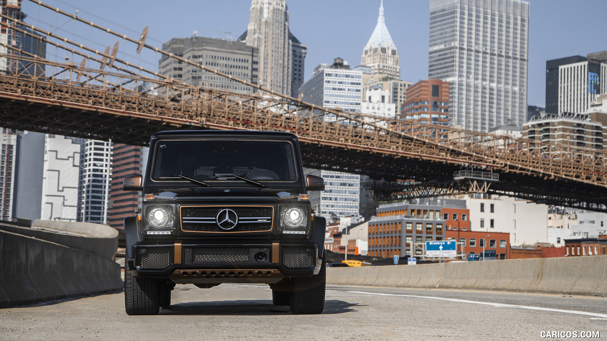 2018 Mercedes-AMG G65 Final Edition (US-Spec) - Front, #24 of 70
