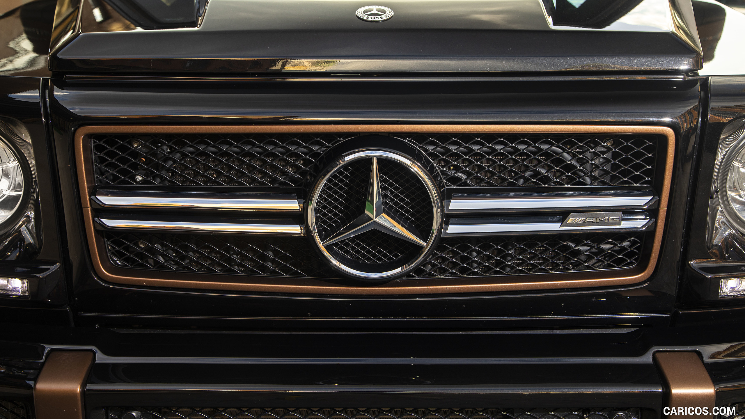 2018 Mercedes-AMG G65 Final Edition (US-Spec) - Grille, #39 of 70