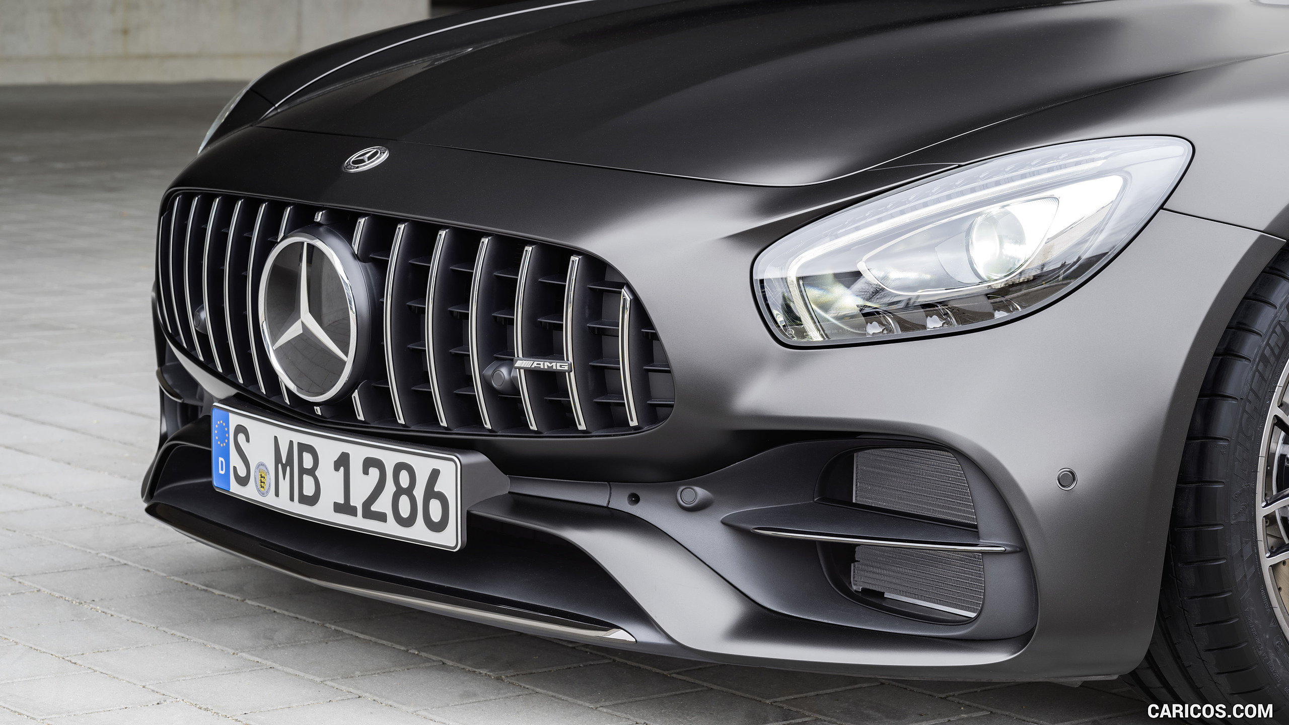 2018 Mercedes-AMG GT C Coupe Edition 50 (Color: Graphite Grey Magno) - Grille, #9 of 70