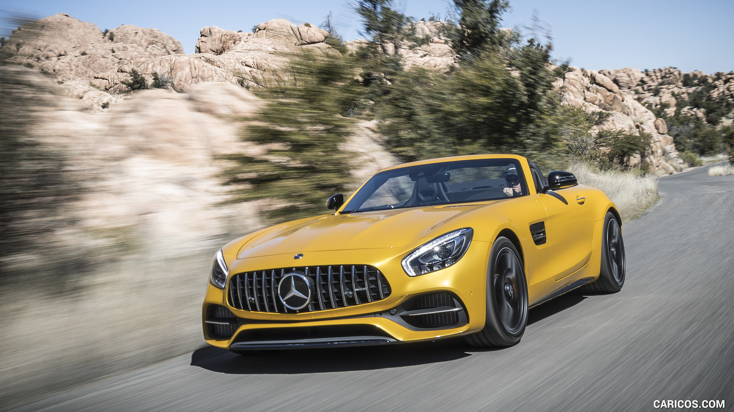 2018 Mercedes-AMG GT C Roadster - Front, #184 of 350