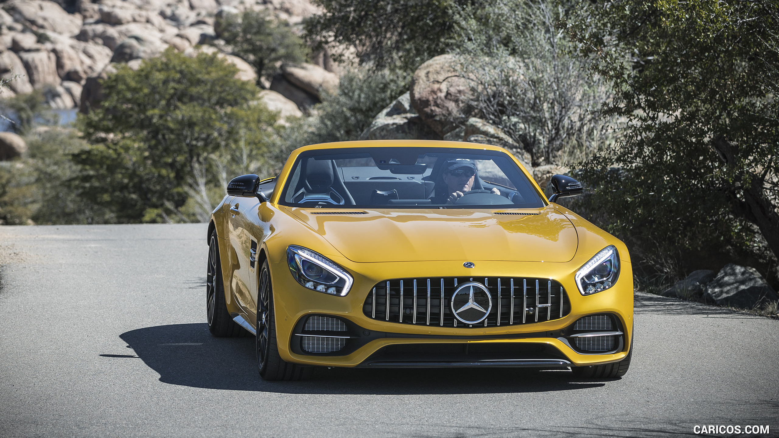 2018 Mercedes-AMG GT C Roadster - Front, #188 of 350