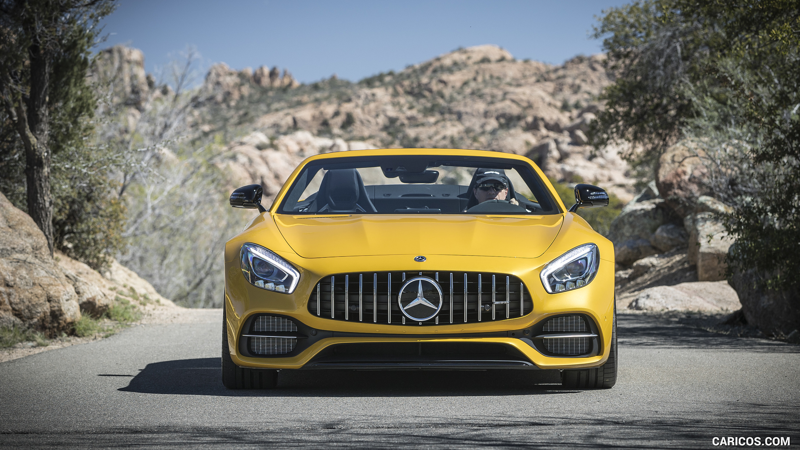 2018 Mercedes-AMG GT C Roadster - Front, #189 of 350