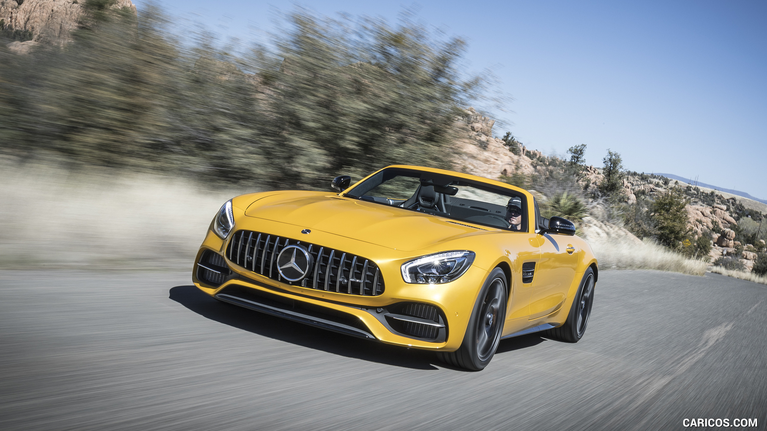 2018 Mercedes-AMG GT C Roadster - Front, #195 of 350