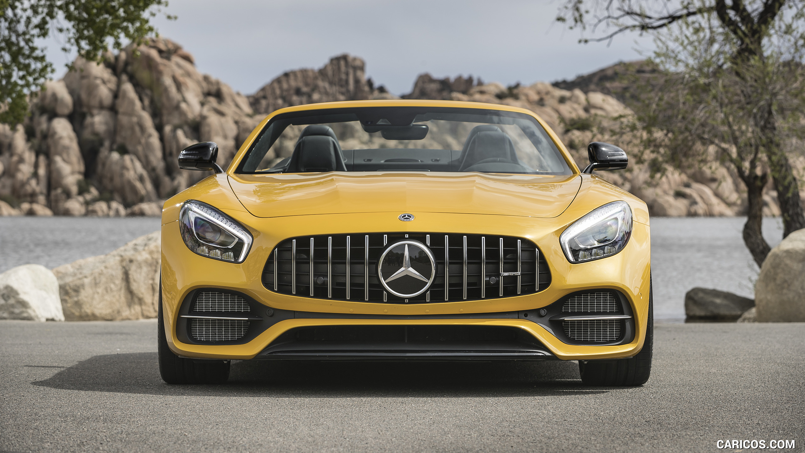 2018 Mercedes-AMG GT C Roadster - Front, #216 of 350