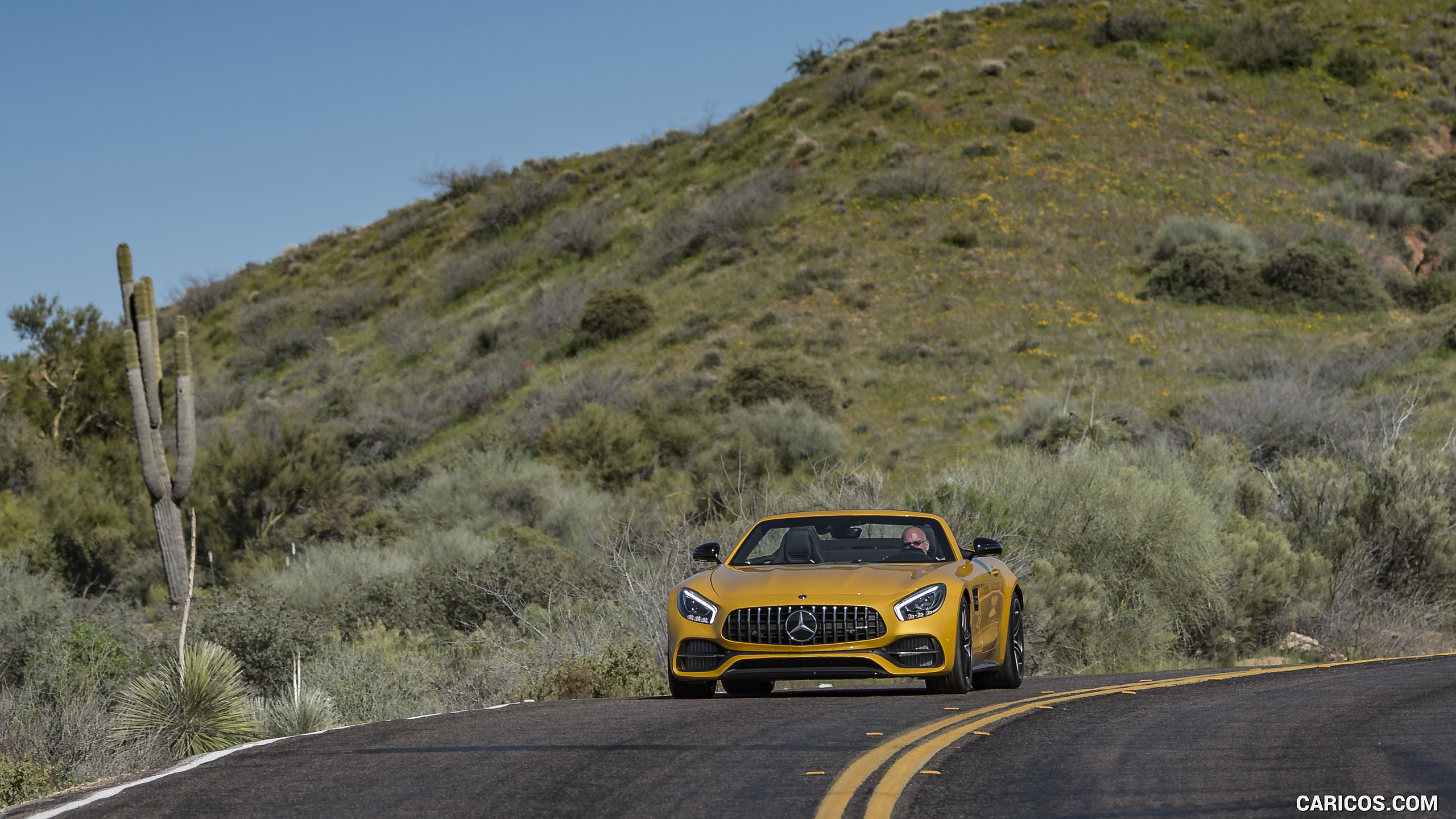 2018 Mercedes-AMG GT C Roadster - Front, #228 of 350