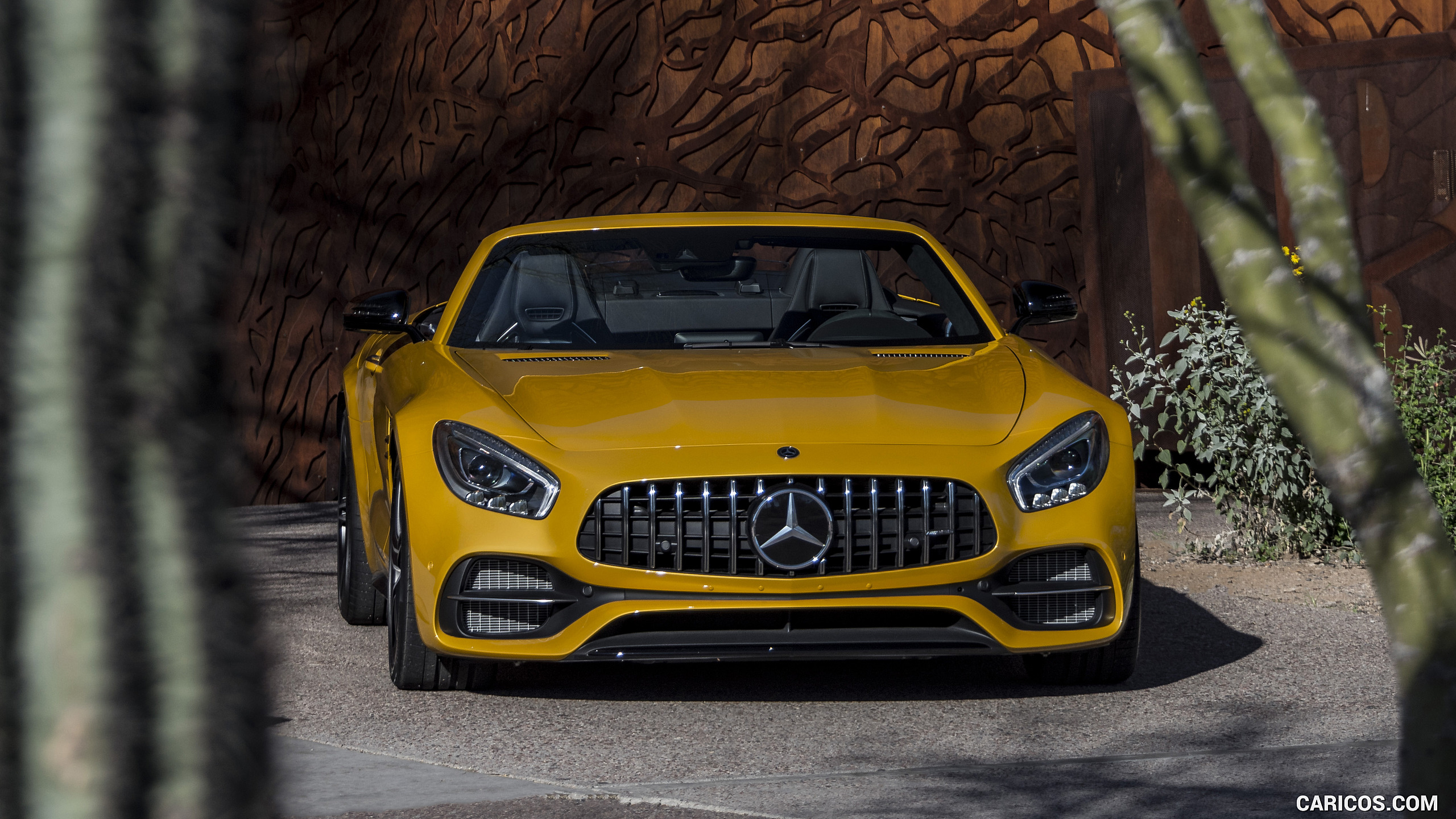 2018 Mercedes-AMG GT C Roadster - Front, #237 of 350