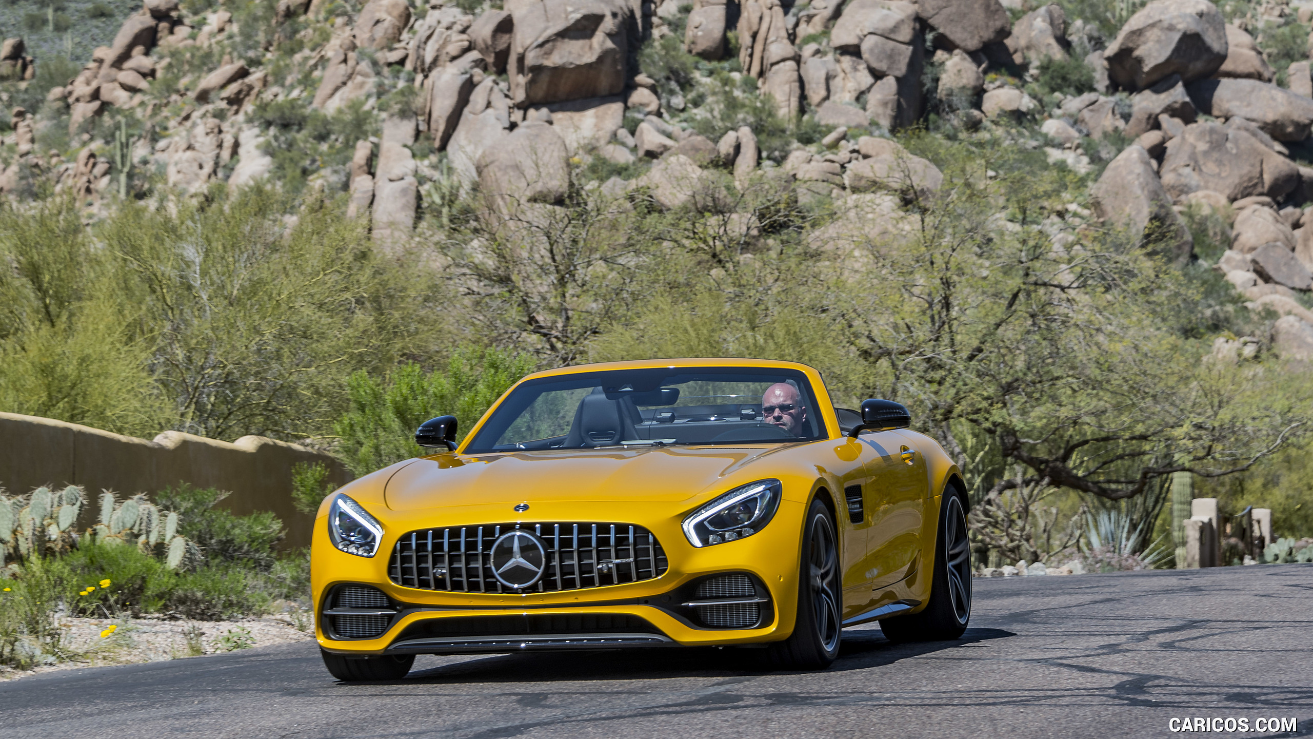 2018 Mercedes-AMG GT C Roadster - Front, #239 of 350
