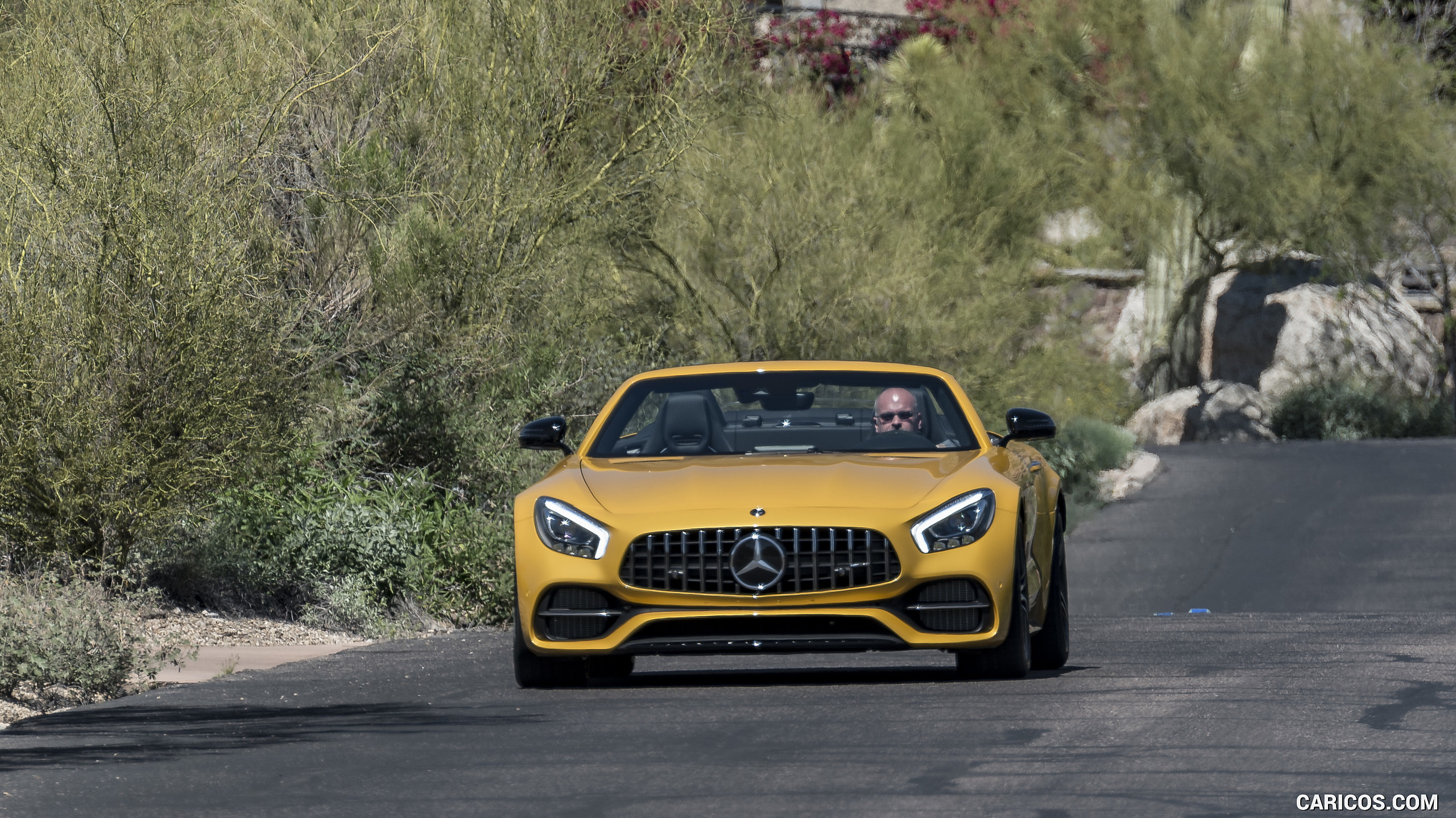 2018 Mercedes-AMG GT C Roadster - Front, #240 of 350