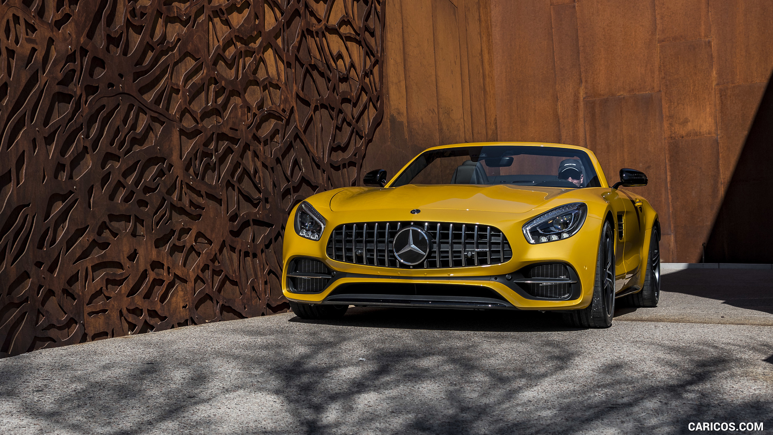 2018 Mercedes-AMG GT C Roadster - Front, #245 of 350