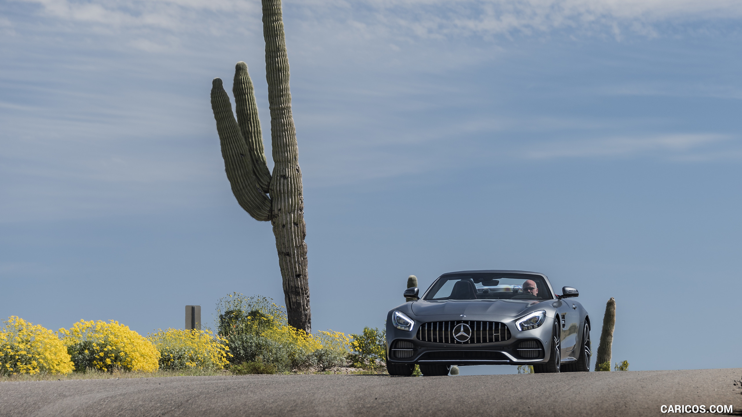 2018 Mercedes-AMG GT C Roadster - Front, #321 of 350