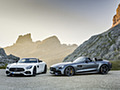 2018 Mercedes-AMG GT GT and GT C Roadsters