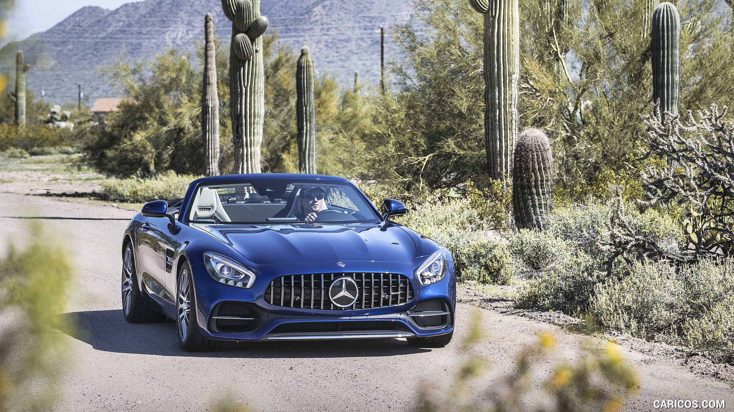 2018 Mercedes-AMG GT Roadster - Front, #113 of 350