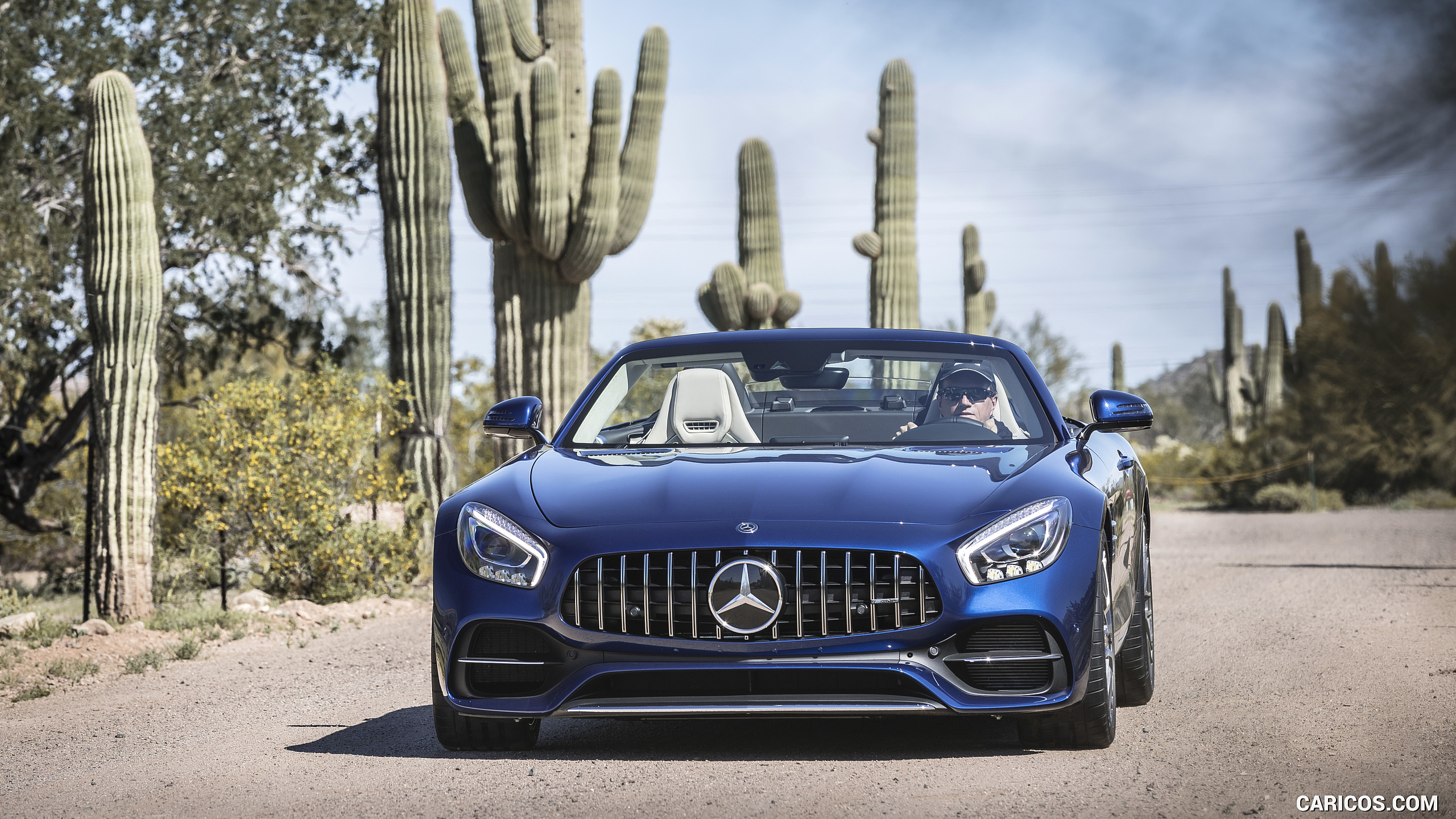 2018 Mercedes-AMG GT Roadster - Front, #148 of 350
