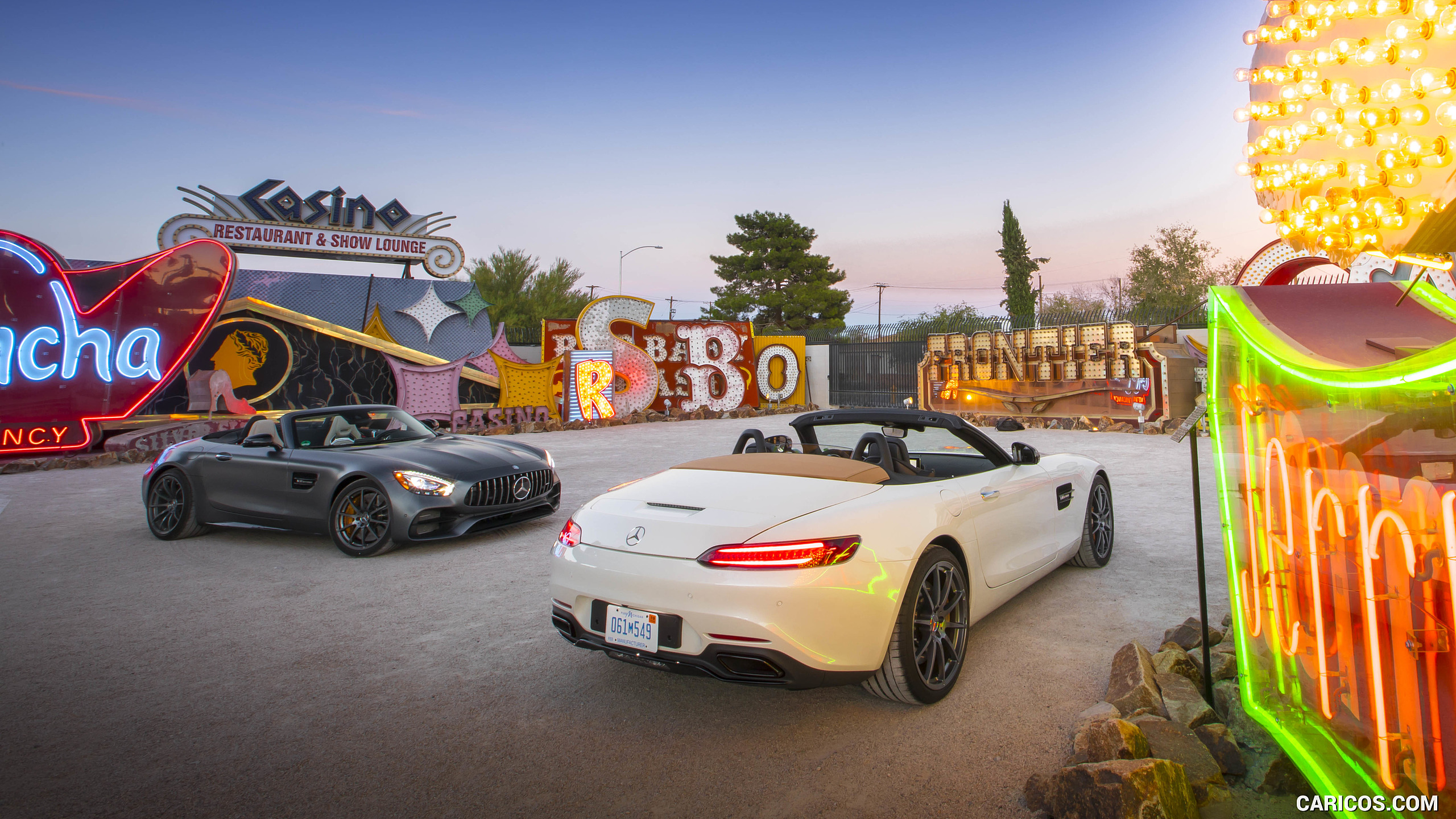2018 Mercedes-AMG GT and GT C Roadsters, #66 of 350