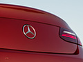 2018 Mercedes-Benz E-Class Coupe (Color: Designo Hyacinth Red Metallic Avantgarde) - Detail