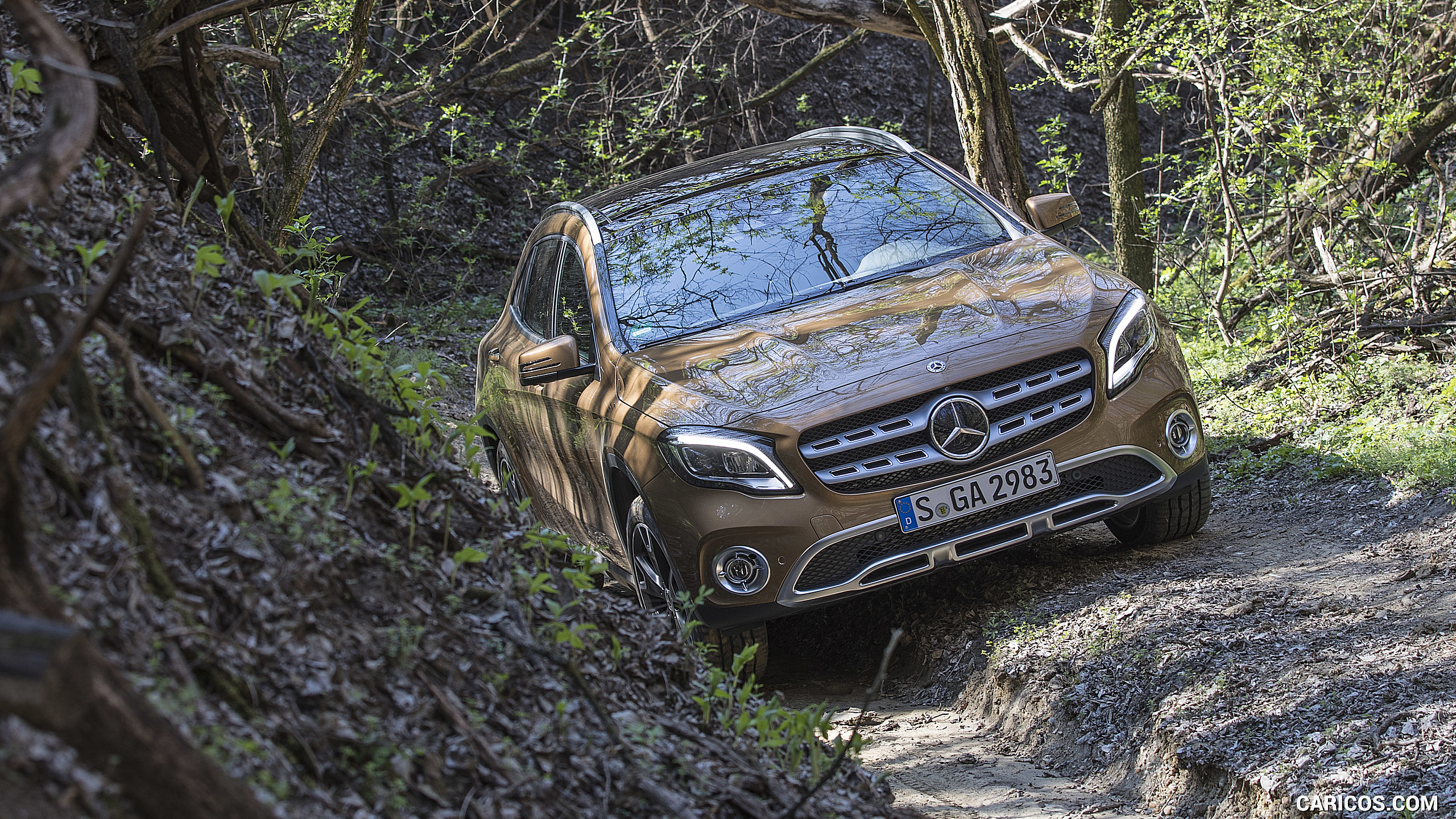 2018 Mercedes-Benz GLA 220 4MATIC (Color: Canyon Beige) - Off-Road, #63 of 89
