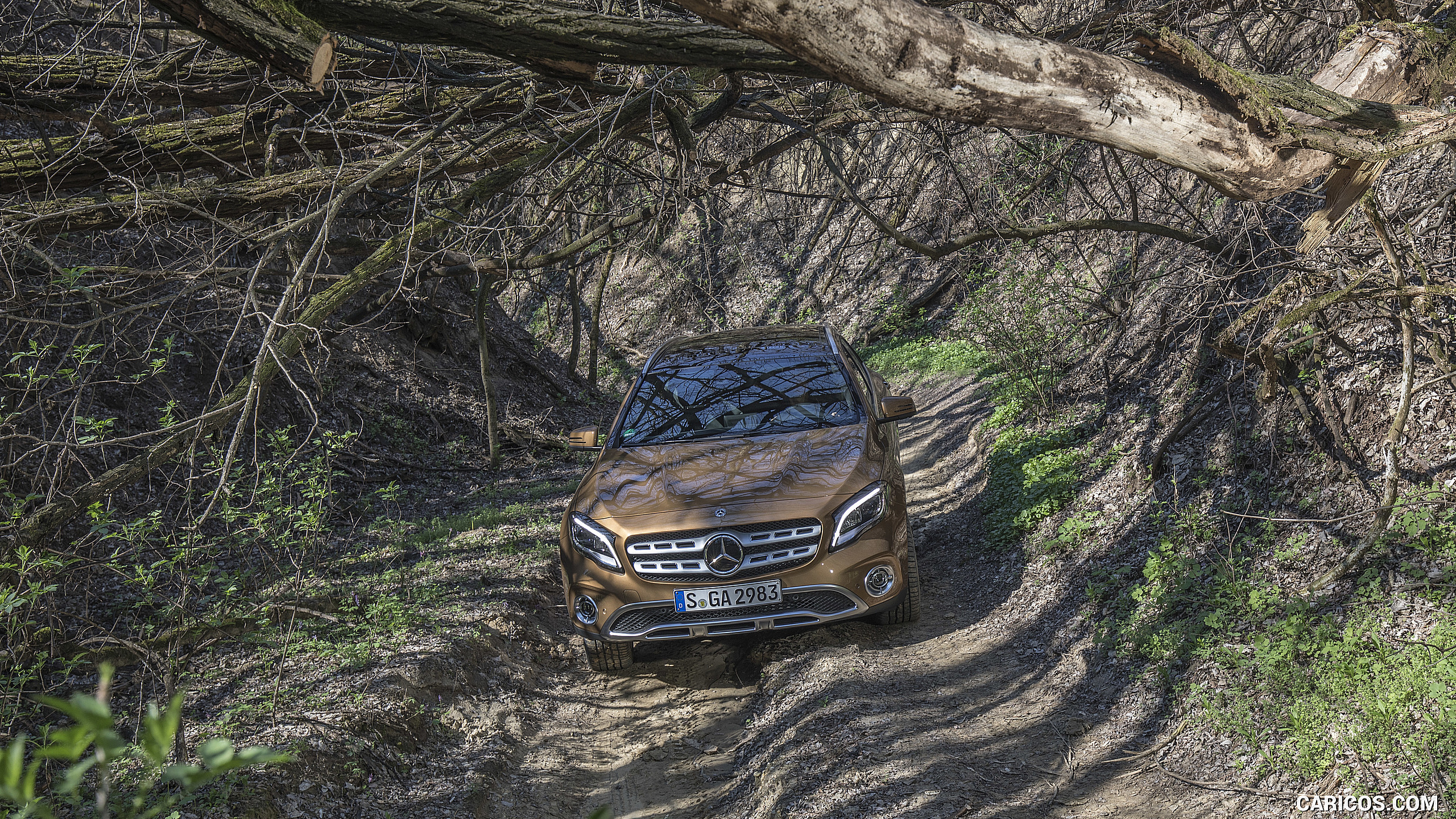 2018 Mercedes-Benz GLA 220 4MATIC (Color: Canyon Beige) - Off-Road, #69 of 89