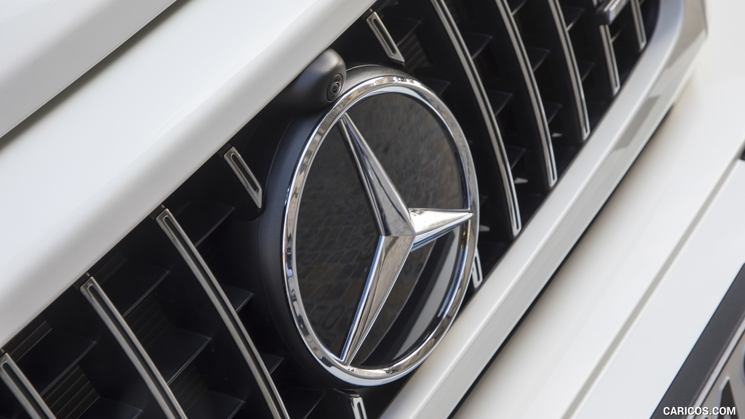 2019 Mercedes-AMG G63 (Color: Designo Diamond White Bright) - Grille, #101 of 452