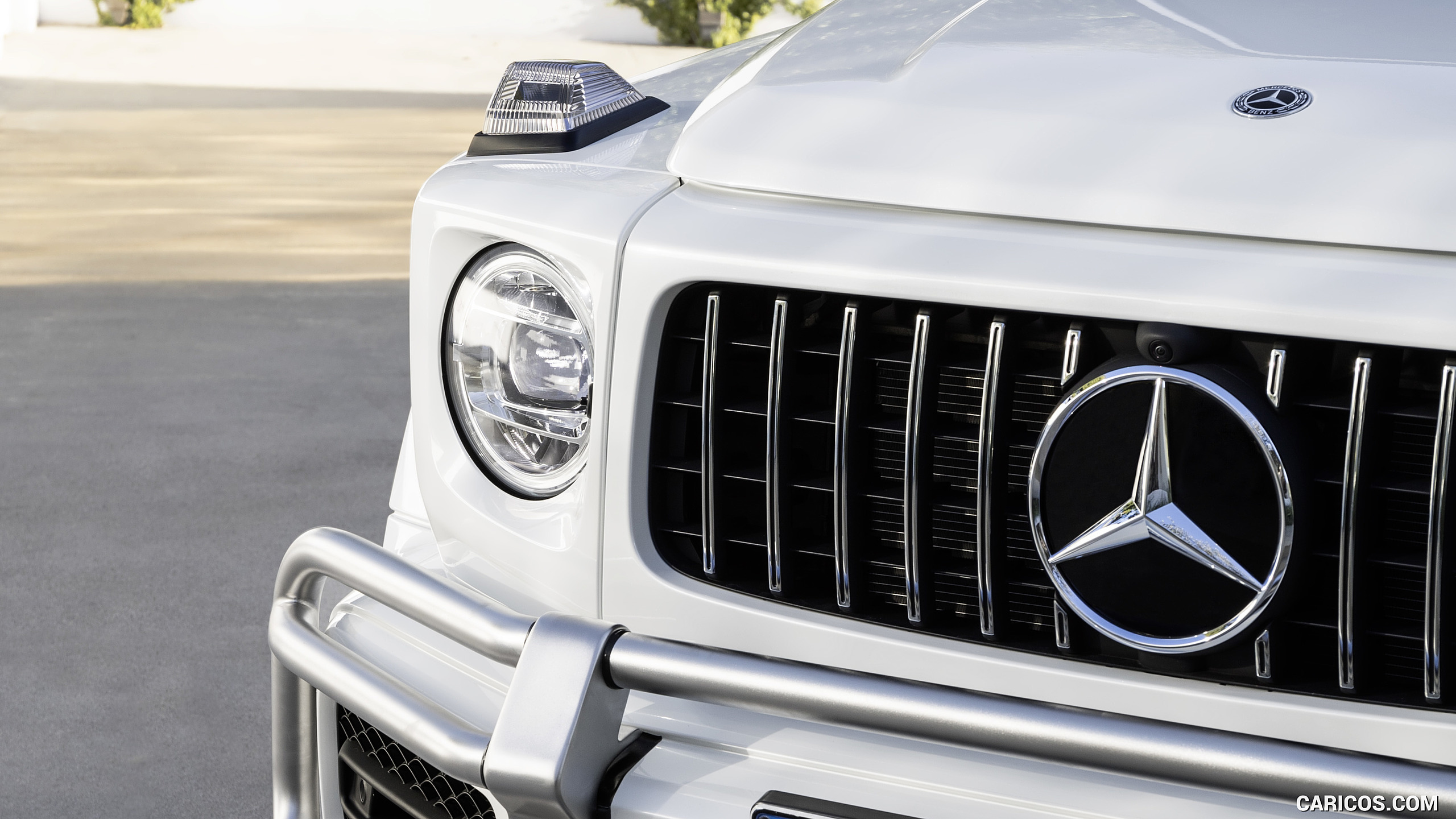 2019 Mercedes-AMG G63 (Color: Designo Mystic White Bright) - Grille, #30 of 452
