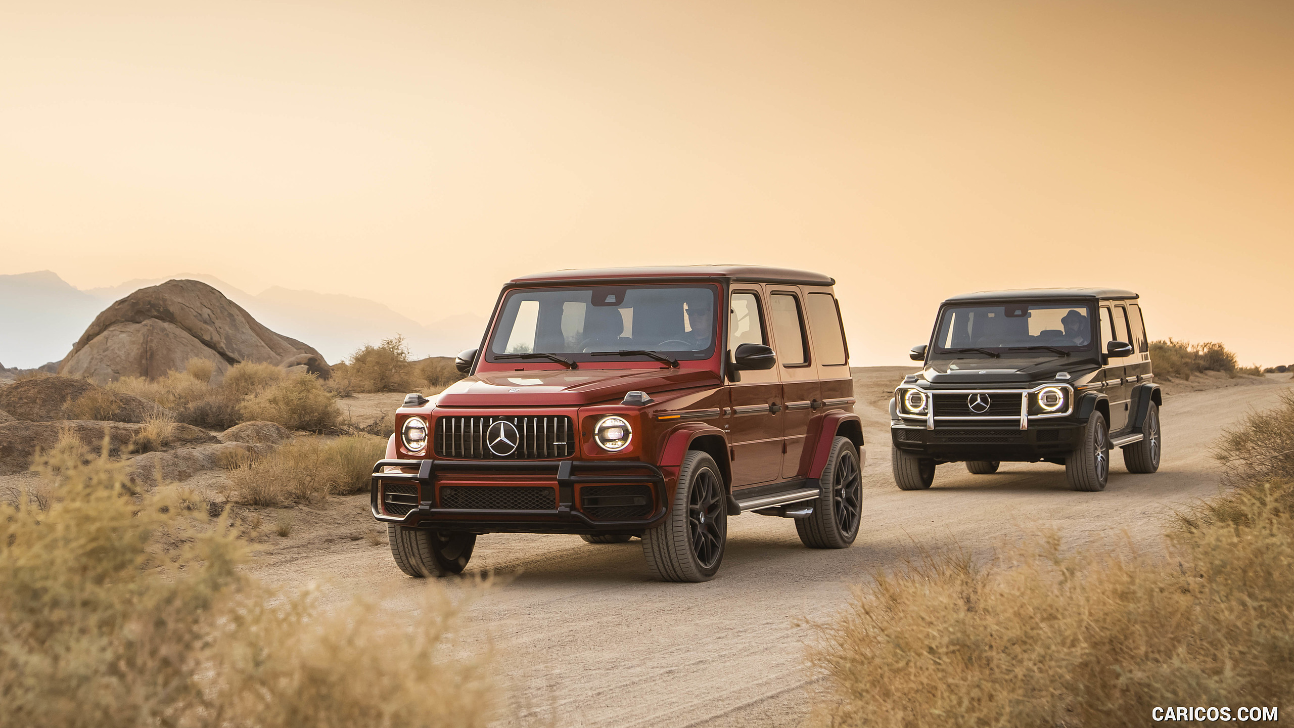 2019 Mercedes-AMG G63 (U.S.-Spec) and 2019 G550, #336 of 452
