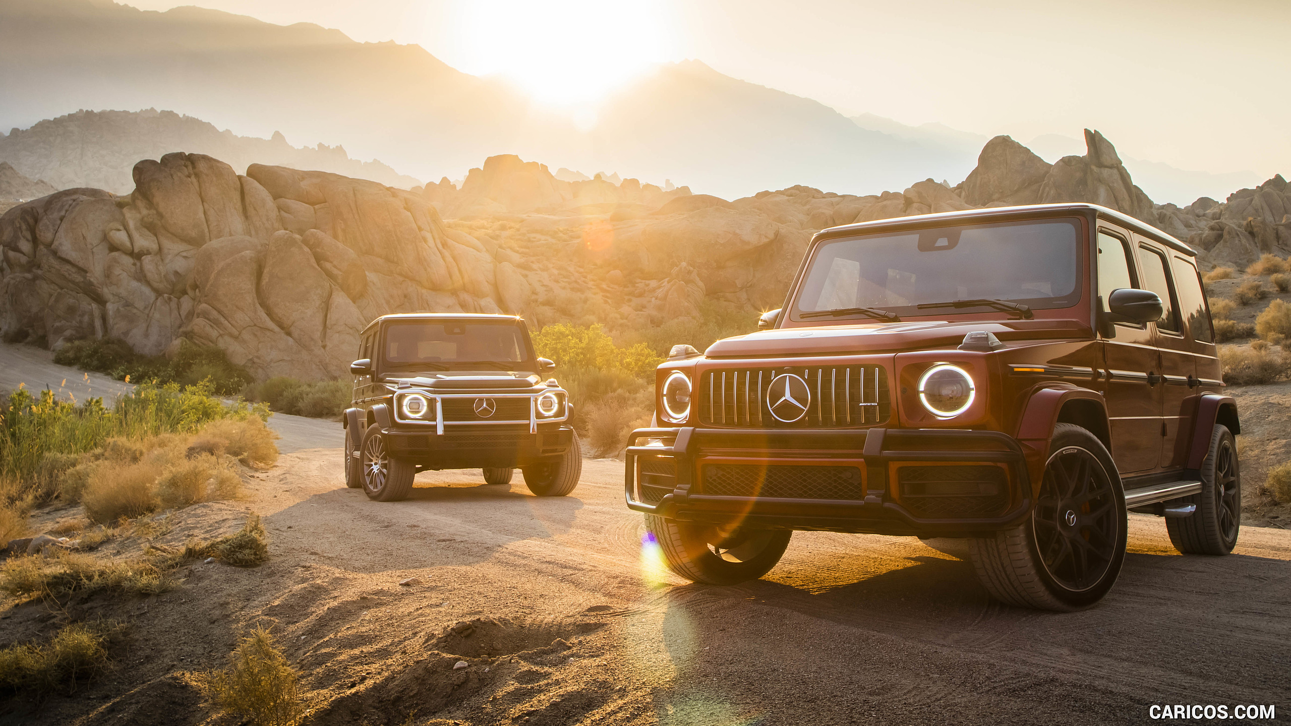 2019 Mercedes-AMG G63 (U.S.-Spec) and 2019 G550, #347 of 452