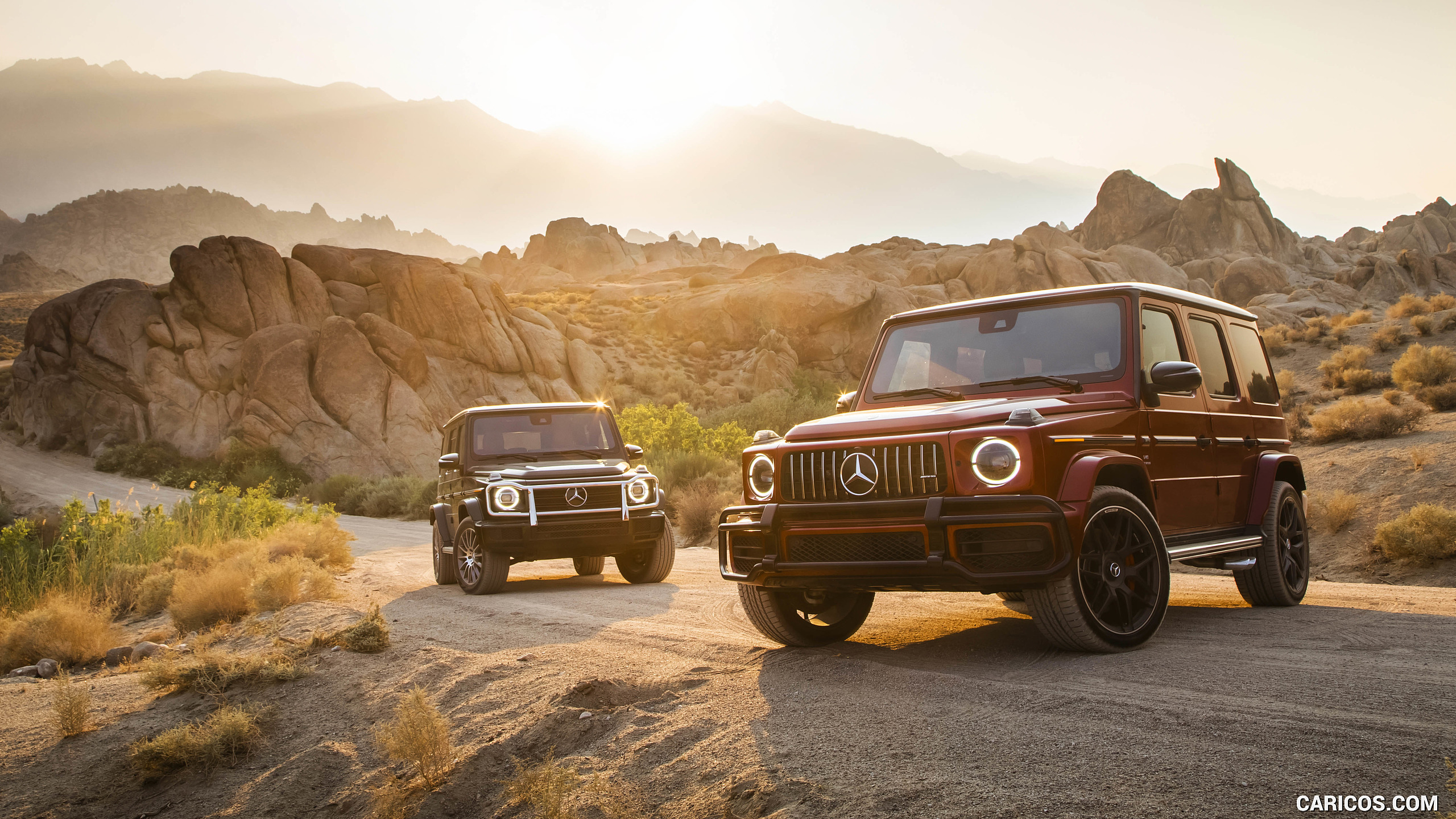 2019 Mercedes-AMG G63 (U.S.-Spec) and 2019 G550, #348 of 452