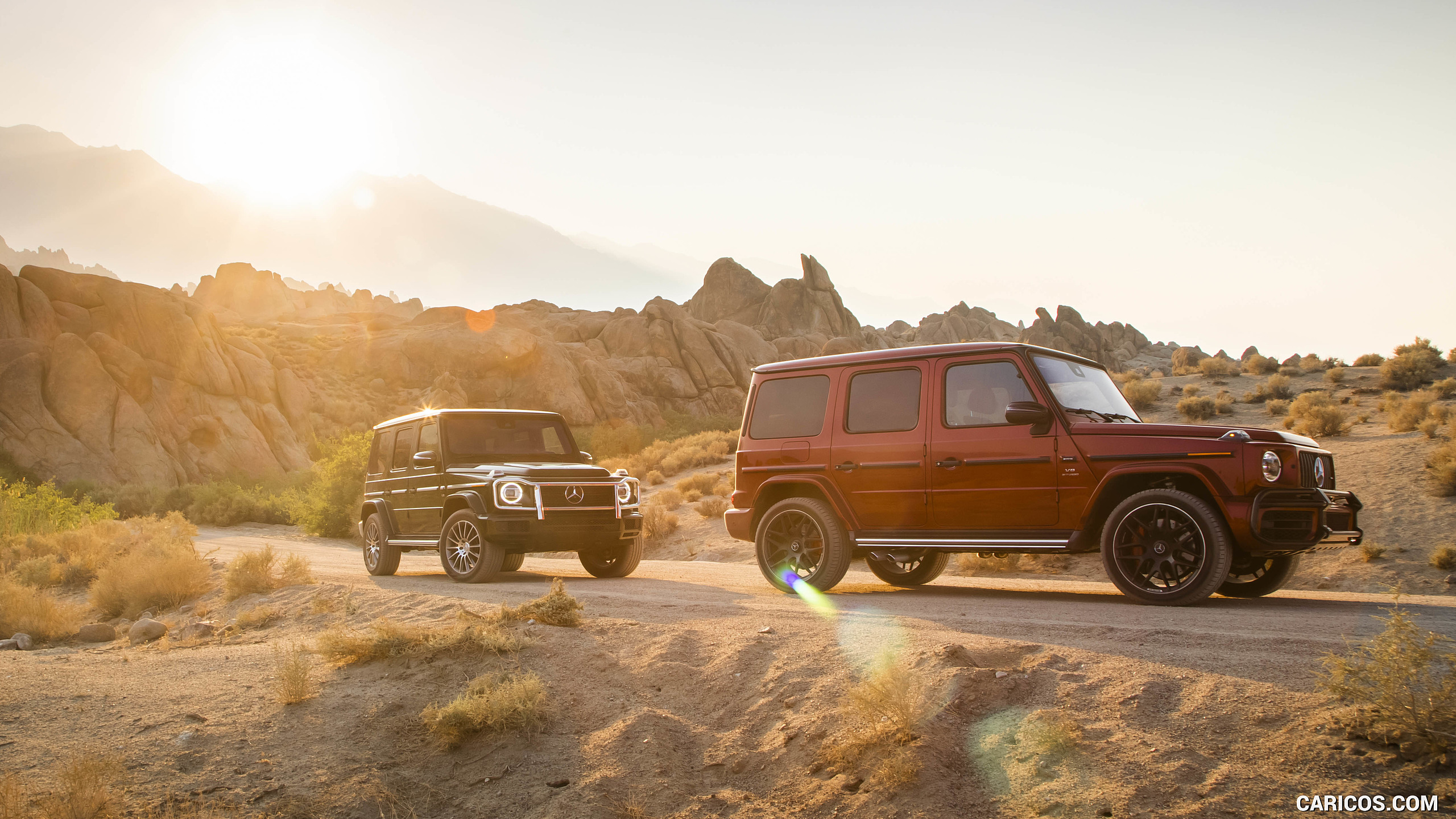 2019 Mercedes-AMG G63 (U.S.-Spec) and 2019 G550, #349 of 452