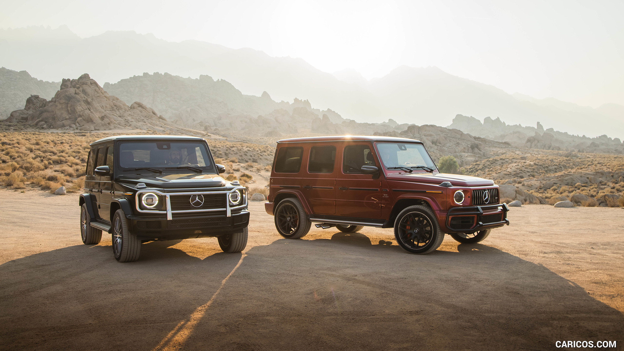 2019 Mercedes-AMG G63 (U.S.-Spec) and 2019 G550, #351 of 452
