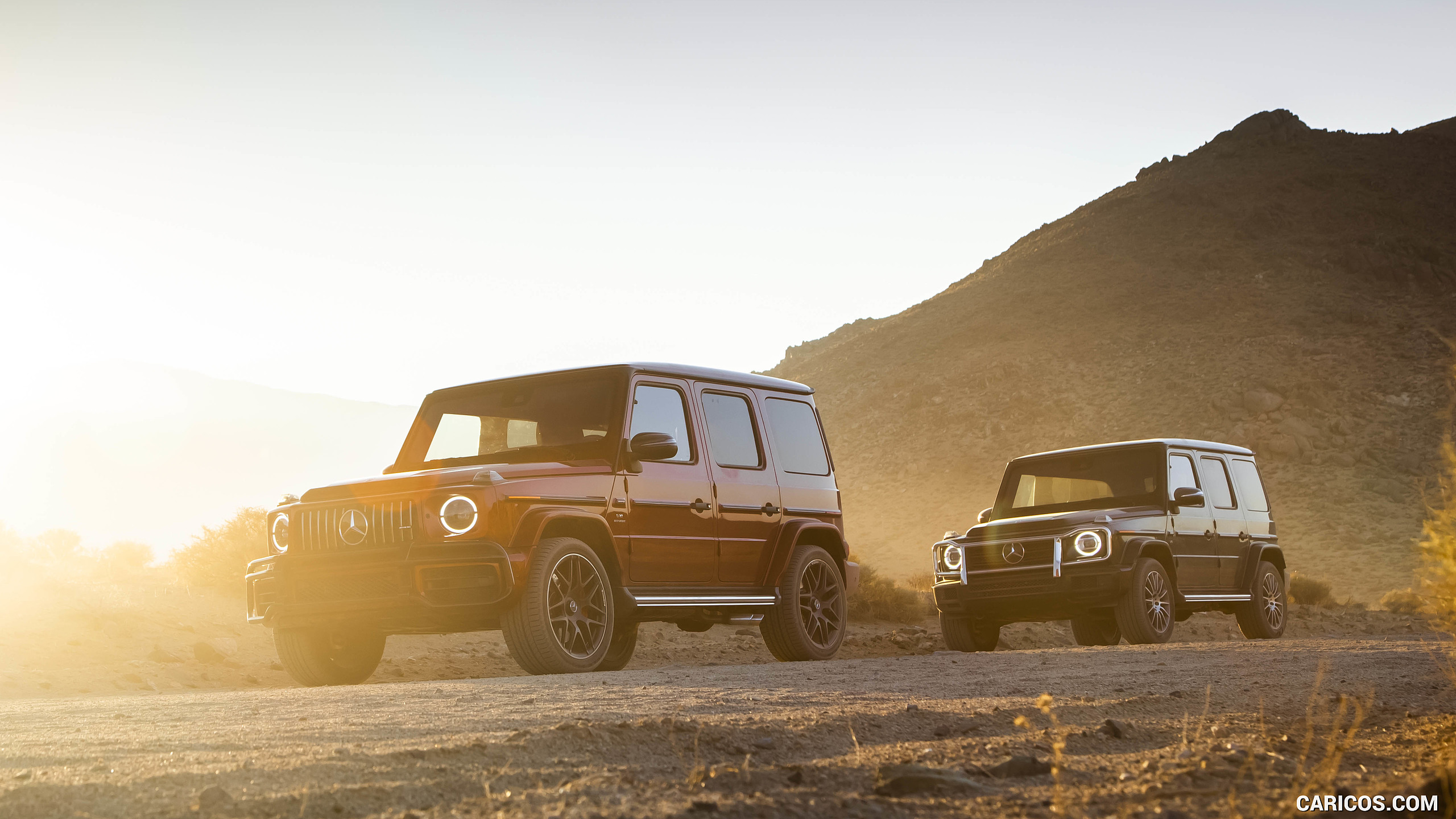 2019 Mercedes-AMG G63 (U.S.-Spec) and 2019 G550, #367 of 452